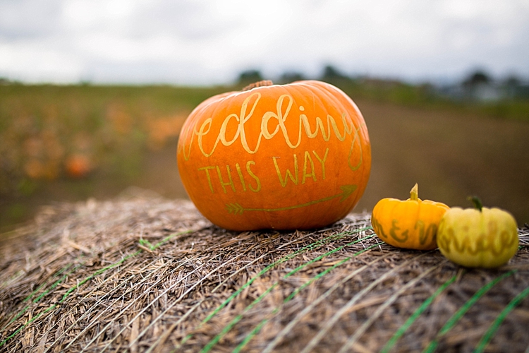 Sign Calligraphy Gold Pumpkin Field Autumn Wedding Ideas http://www.charlottewhiteweddings.co.uk/