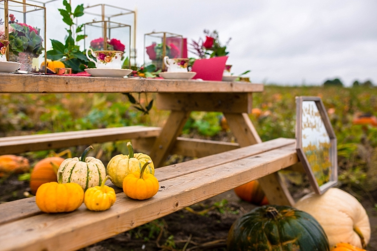 Pumpkin Field Autumn Wedding Ideas 