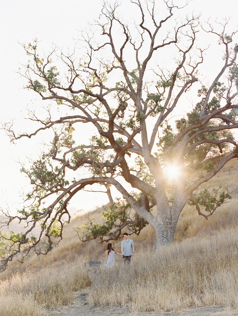 Bethany and Enbo's Southern California Engagement