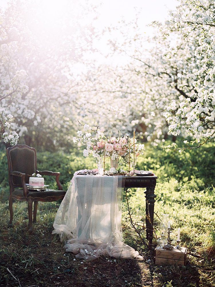Ethereal Spring Blossoms and a Blush Bride
