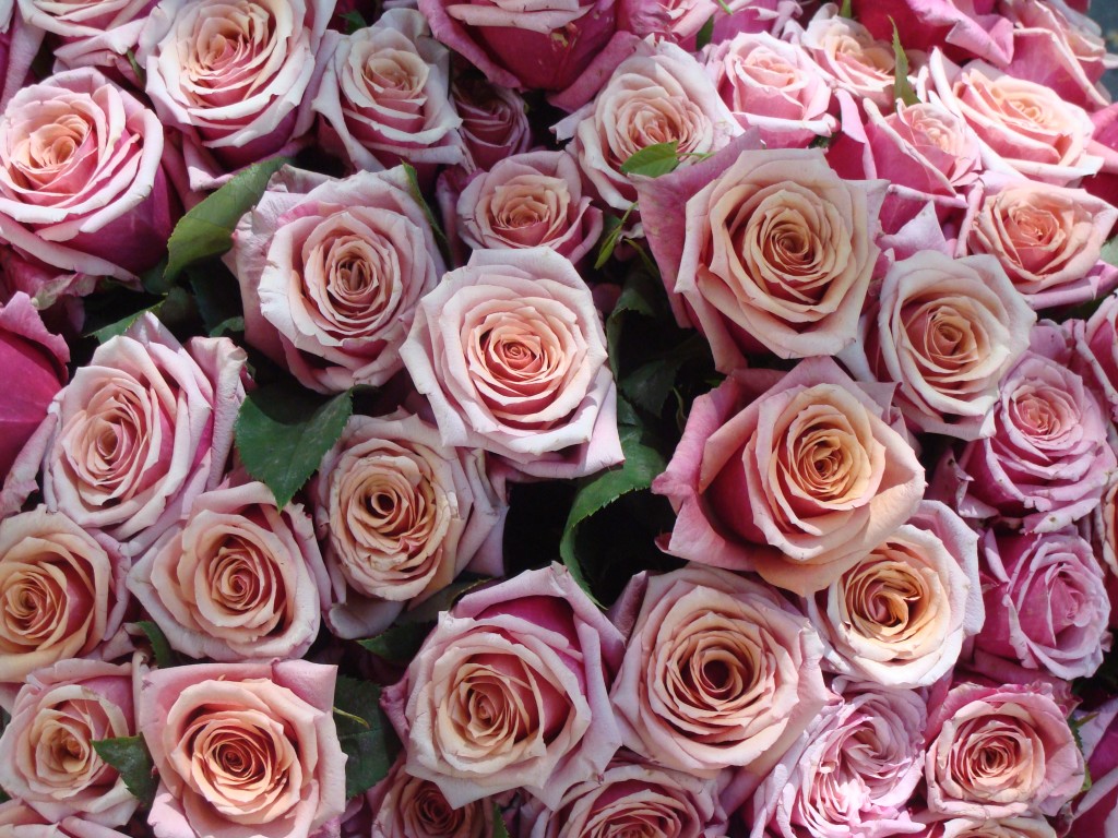 Beautiful wedding bouquet-roses